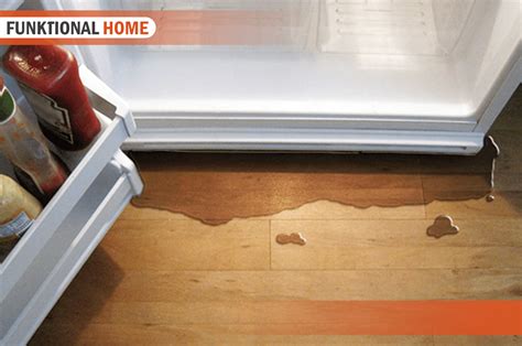 frigidaire refrigerator water leaking underneath|Refrigerators